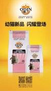 奧丁精品幼貓糧閃耀登場?。?！