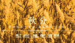 秋分丨晝夜分畫，漸入秋華