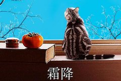 霜降丨縱然霜華盡染，心中美好如初