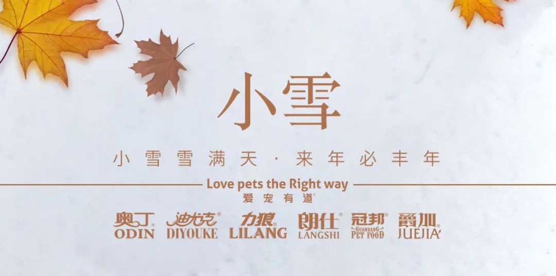 小雪丨天地初寒，歲月安暖